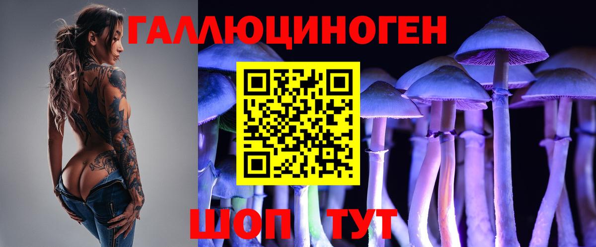 Галлюциногенные грибы мицелий  Вход с VPN  Искитим  Псилоцибиновые грибы ЛСД 